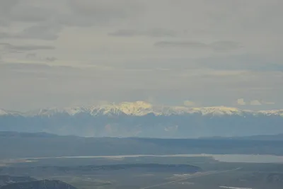 DSC_6713 (Large).JPG